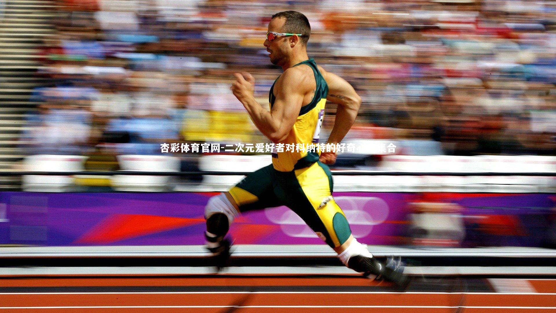 杏彩体育官网-二次元爱好者对科纳特的好奇心大集合