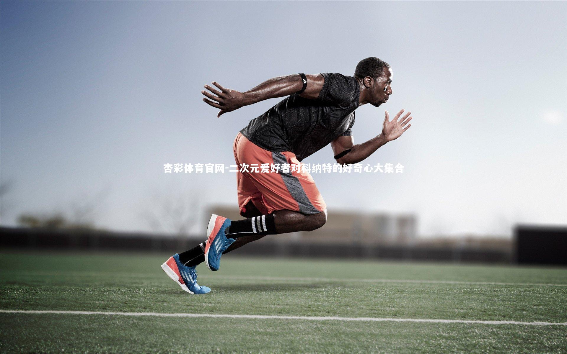 二次元爱好者对科纳特的好奇心大集合